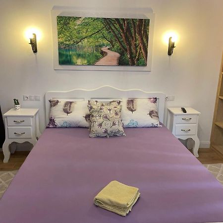 Apartament Gabriela 39 Baia Mare Exterior foto