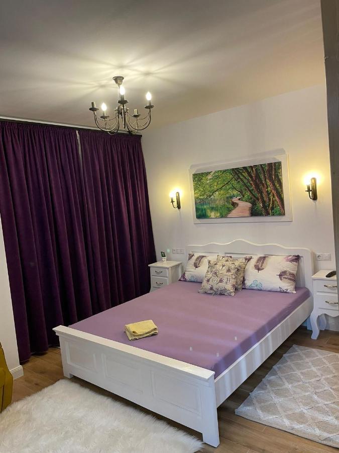 Apartament Gabriela 39 Baia Mare Exterior foto