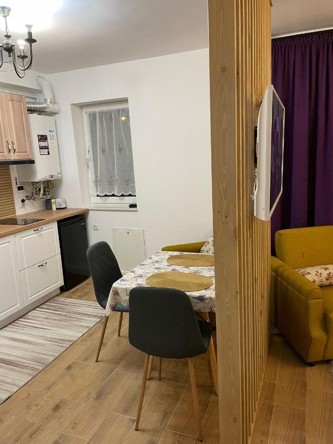 Apartament Gabriela 39 Baia Mare Exterior foto